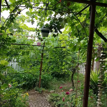 Daskalovi 발치크